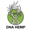 DNA Hemp logo