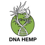 DNA Hemp logo