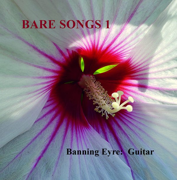 Bare Songs 1 by Banning Eyre